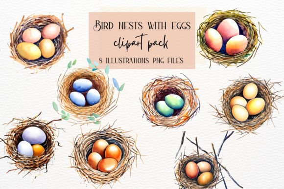 Enchanting Bird Nest with Eggs Collection for Creative Projects